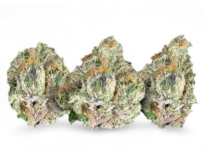 thc x kvety purple runtz