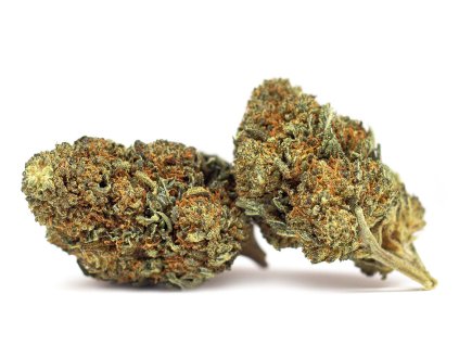 thc x kvety og kush weed strain cannabis