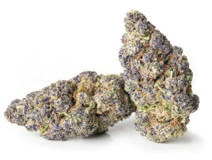 cbd kvety cannabis purple matrix strain