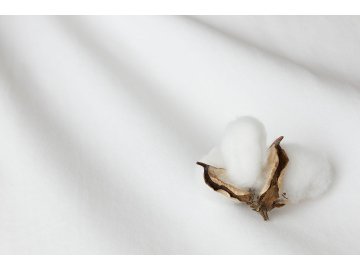 prosteradlo bile bavlneny mikroplys premium