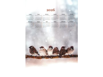 KALENDÁŘ VRABCI 2026