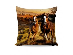 Povlak Savana 40/40 cm