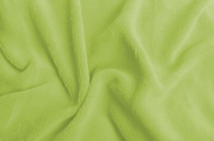 SKANTEX Prostěradlo mikroplyš 200/220 cm barva: svítivě zelená