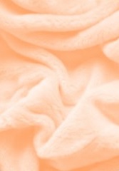 SKANTEX Prostěradlo mikroplyš 180/200 cm barva: světle oranžová