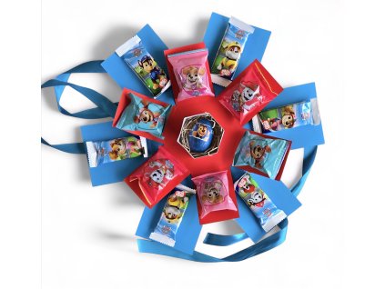 Darčeková škatuľka Paw Patrol