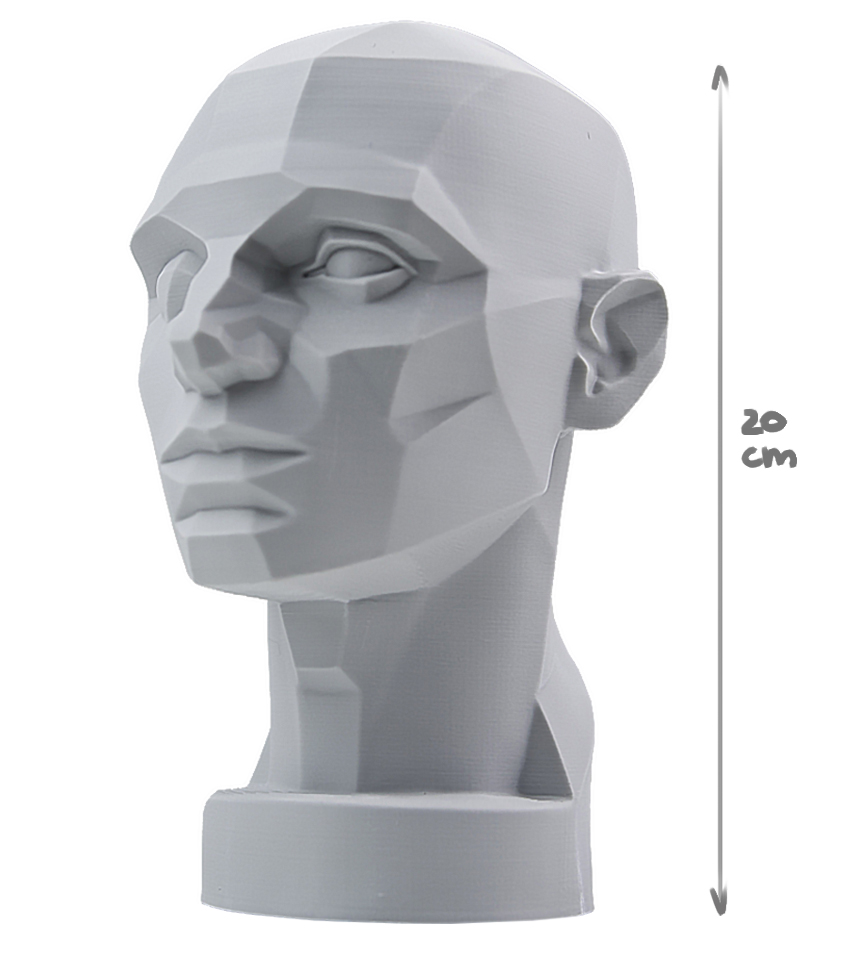 bighead_001
