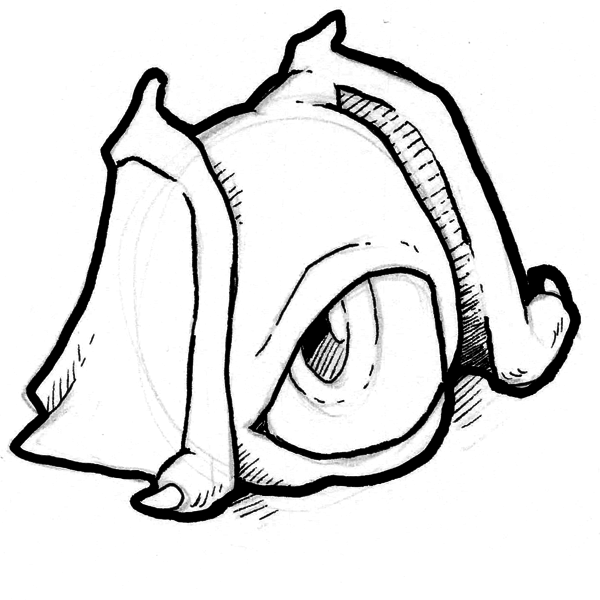 liner