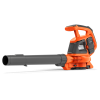 120iBV