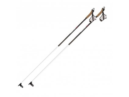 Rossignol FT-600 Cork 19/20 (Velikost lyží 165)