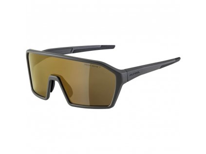 369647 alpina ram q lite coffee grey matt