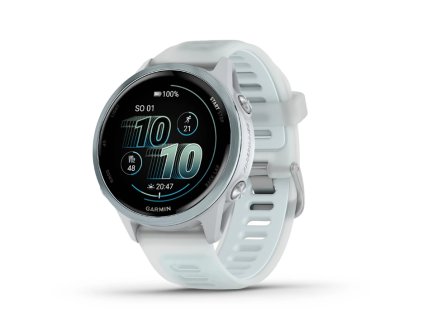 garmin2