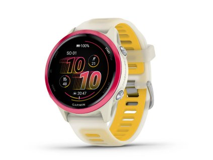 garmin3