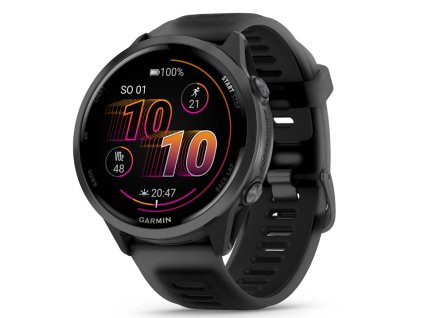 garmin 1 1