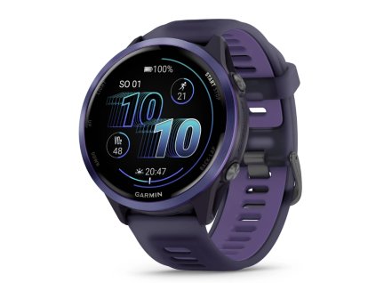 garmin 3 3