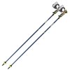 Leki Carbon 14 3D 2020/21 - bluemetallic-neonyellow-white (Velikost 135)