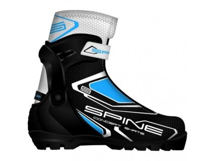 17655 1 spine gs concept skate