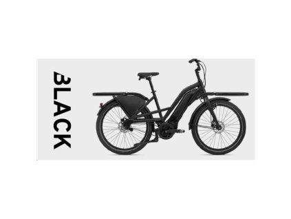 Giant DELIVERY E+ 2021 (Barva Delivery E+-M21 Black)