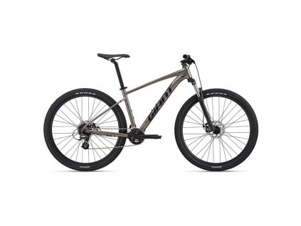 Giant TALON 29 4 2022 (Barva Metal, Velikost M)