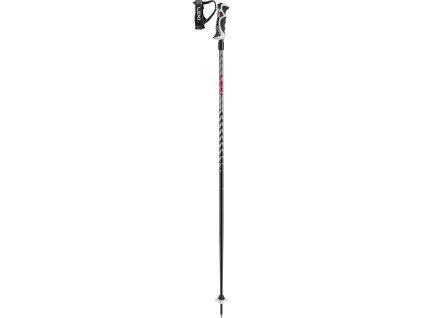 Leki HOT SHOT S 2023/24 (Barva Eloxal black/Eloxal grey/Bright red, Délka 125 cm)