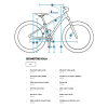 Beany ZERO 24 – schéma geometrie rámu