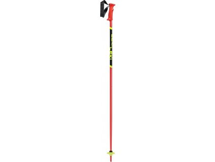 Leki sjezdove hole 65344301