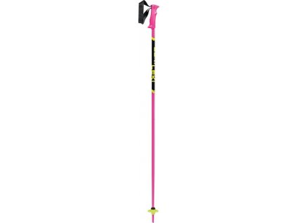Leki sjezdove hole 65344302
