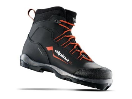 17298 alpina snowfield bc 5022 2k