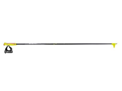 Leki poles xta 19362 100