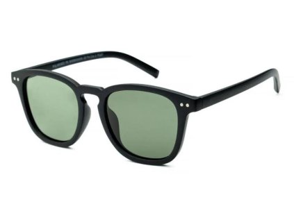 waye polarized 6 wx0003x006