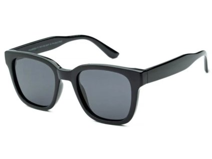 waye polarized 6 w013bl003p