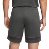 Šortky Nike Dri FIT Academy cw6107 070