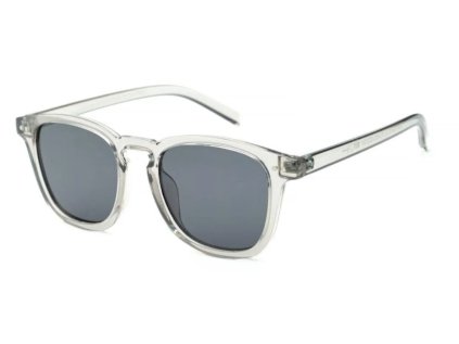 waye polarized 6 wx0003x005
