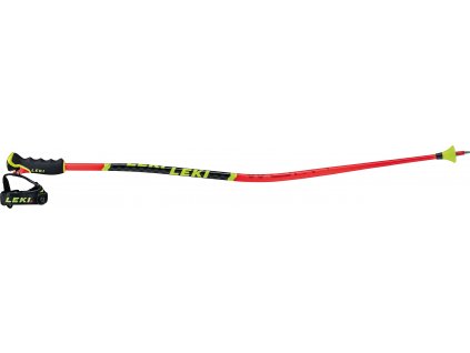 Leki Worldcup Lite GS 3D 20/21