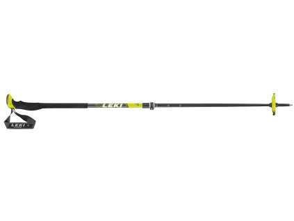 leki aergon2