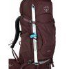 kyte58l s23 detail4 elderberry 2