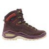 Lowa renegade evo gtx mid ls