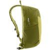 Speed lite 17 linden cactus 2