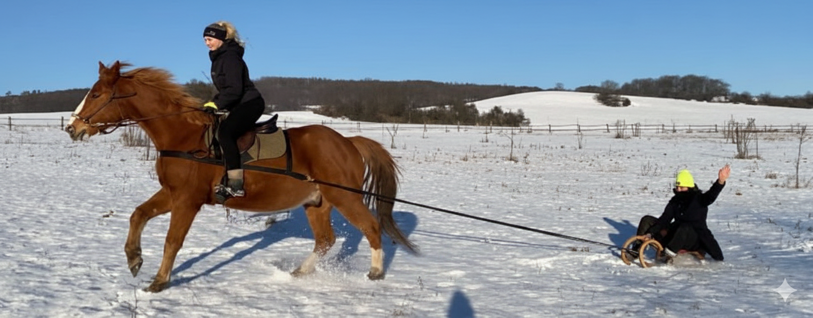 Když je s koněm v zimě radost