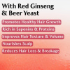Root Re Boot Activating Shampoo (Red Ginseng & Beer) (2)