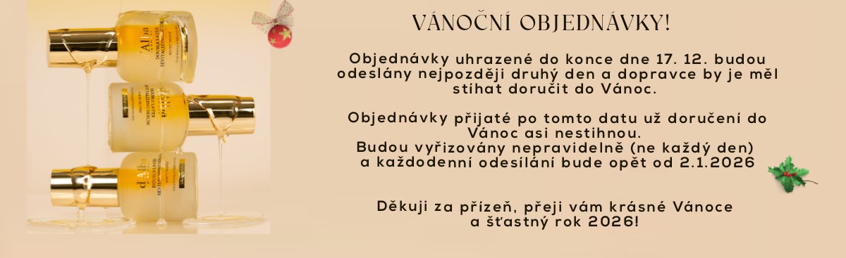 Doručování do Vánoc