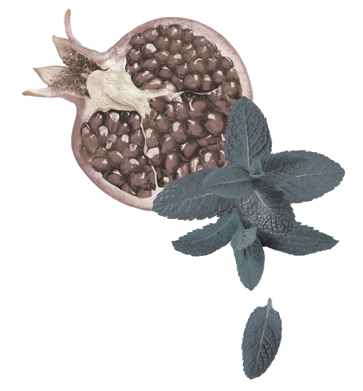 Blissoma®: Proč pracovat s profesionální organickou kosmetikou