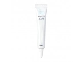 Pyunkang Yul ACNE Spot Cream 15 ml