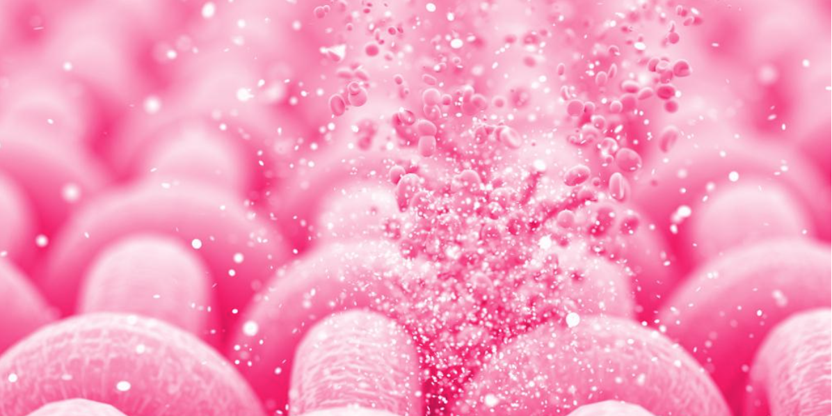 Malé vlákno, velký dopad