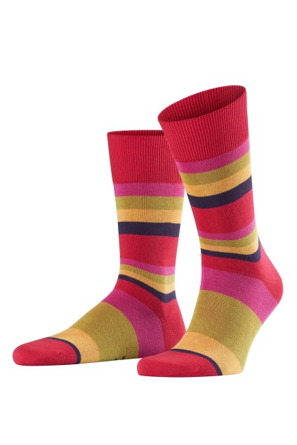 FALKE pánske ponožky Filter Stripe (Farba ribes-8547, Veľkosť 41-42)