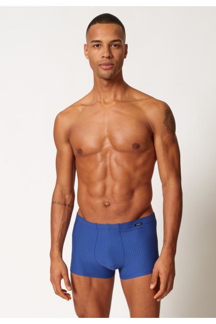 SKINY pánske panty 2-balenie Cotton Advantage W24 - dreamyiris stripes (Farba dreamyiris stripes selection-s677, Veľkosť XXL)