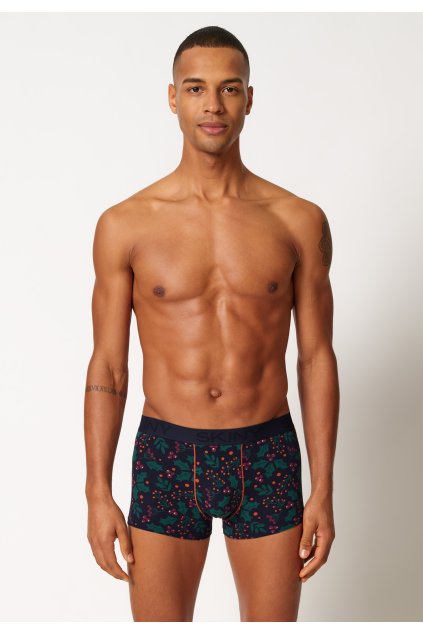 SKINY pánske panty 2-balenie Cotton Multipack S24 - mistletoe (Farba mistletoe selection-s710, Veľkosť XXL)