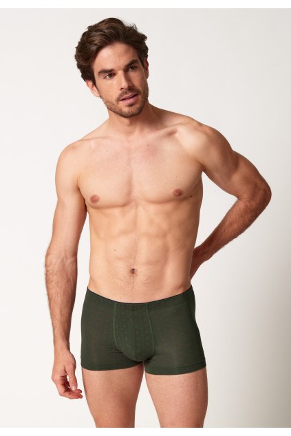 HUBER pánske panty Soft Modal WX - arolla minimal (Farba arolla minimal-h311, Veľkosť L)