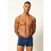SKINY pánske panty Micro Deluxe B25 - crown blue (Farba crown blue-0393, Veľkosť XXL)