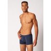 SKINY pánske panty Cotton Multipack 2025 - shark (Farba shark selection-S818, Veľkosť XL)