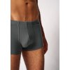 SKINY pánske panty 2-balenie Cotton Advantage S25 - gunmetal stripes (Farba gunmetal stripes selection-S746, Veľkosť XXL)